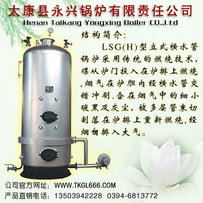 供应立式蒸汽锅炉